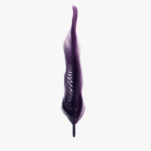 Feather 3D model 3D