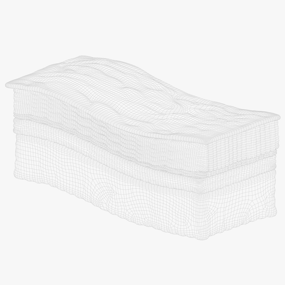Epidermis Cross Section 3D model https://p.turbosquid.com/ts-thumb/RX/rfFuOK/DR/render_wireframe_001/png/1671729011/1920x1080/fit_q87/bc4c3ebbceacd740387a5fd36005fb2d4ab5f902/render_wireframe_001.jpg