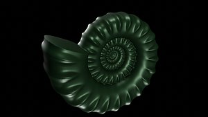 3D model serpenticone conch ornamented shell