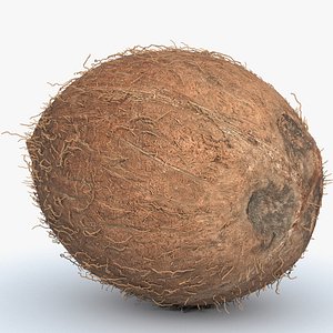 3D Coconut  PBR with Fibers Scan Retopo 3D