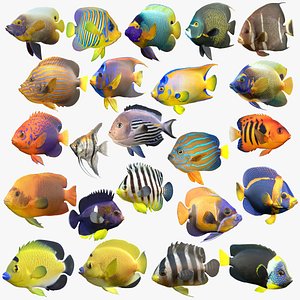 Angelfish Mega Collection 1-23 model