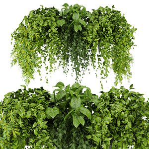 Collection plant vol 248 - ampelous -  hanging - leaf - 3dmax - corona - vray - fbx - obj