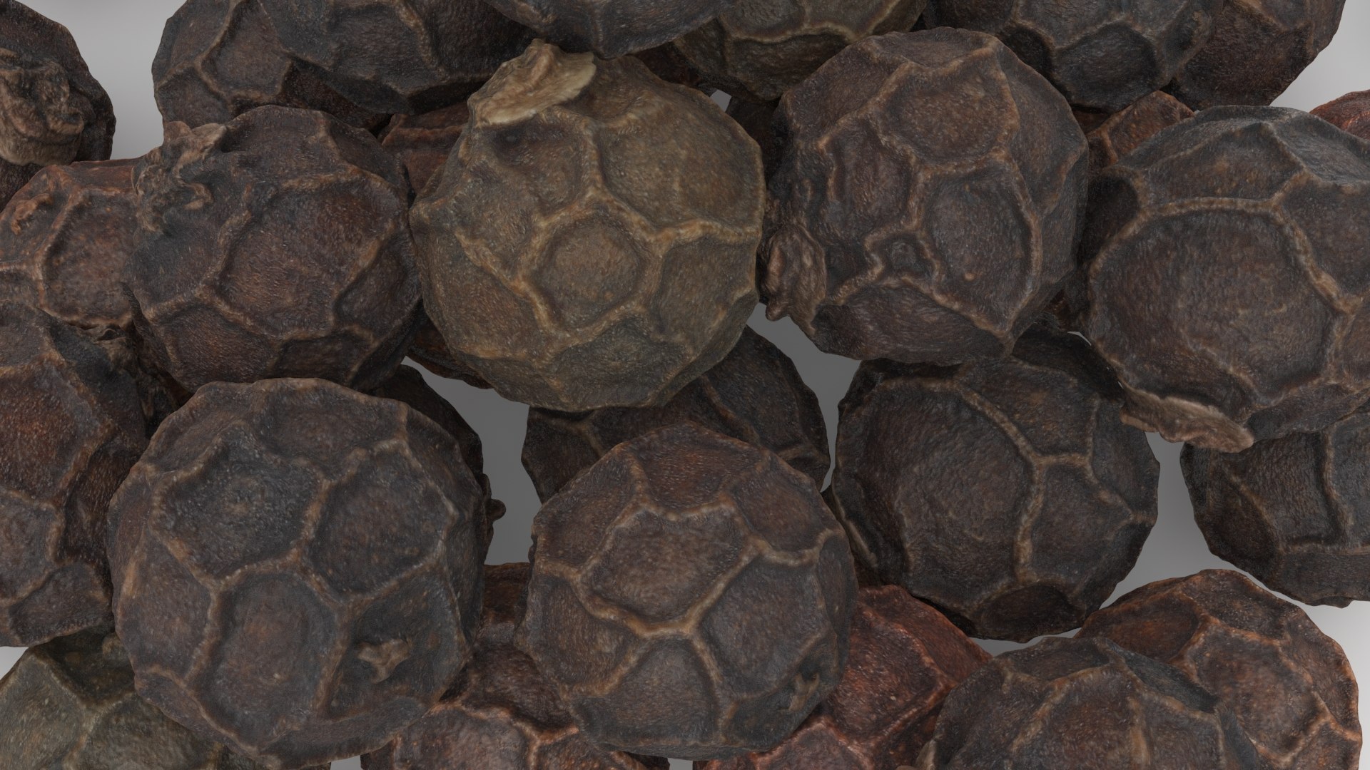Black Pepper 01 Pile 3D model https://p.turbosquid.com/ts-thumb/RY/UGmwxT/Jz/blackpepper01_b0020/jpg/1734023434/1920x1080/fit_q87/22e139db46f5014327884704b4b911d4e8e6e5d3/blackpepper01_b0020.jpg