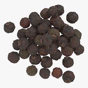 Black Pepper 01 Pile 3D model