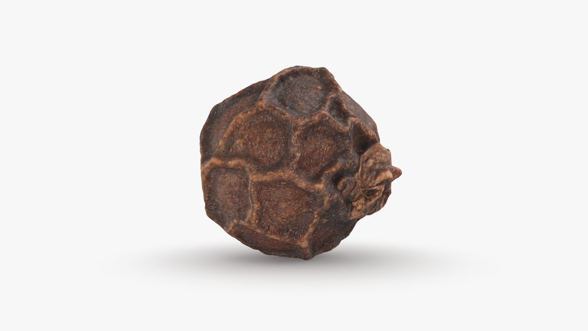 Black Pepper 01 Pile 3D model https://p.turbosquid.com/ts-thumb/RY/UGmwxT/jI/blackpepper01/jpg/1734023358/1920x1080/turn_fit_q99/38af5dd7f788092caa679404a135f5e3d6b92162/blackpepper01-1.jpg