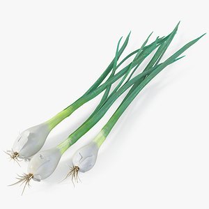 Realistic Chives