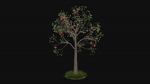 3D Apple tree with fruits