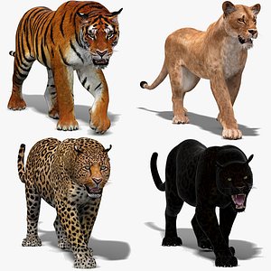 Tigre de bengala Modelo 3D - TurboSquid 1616218