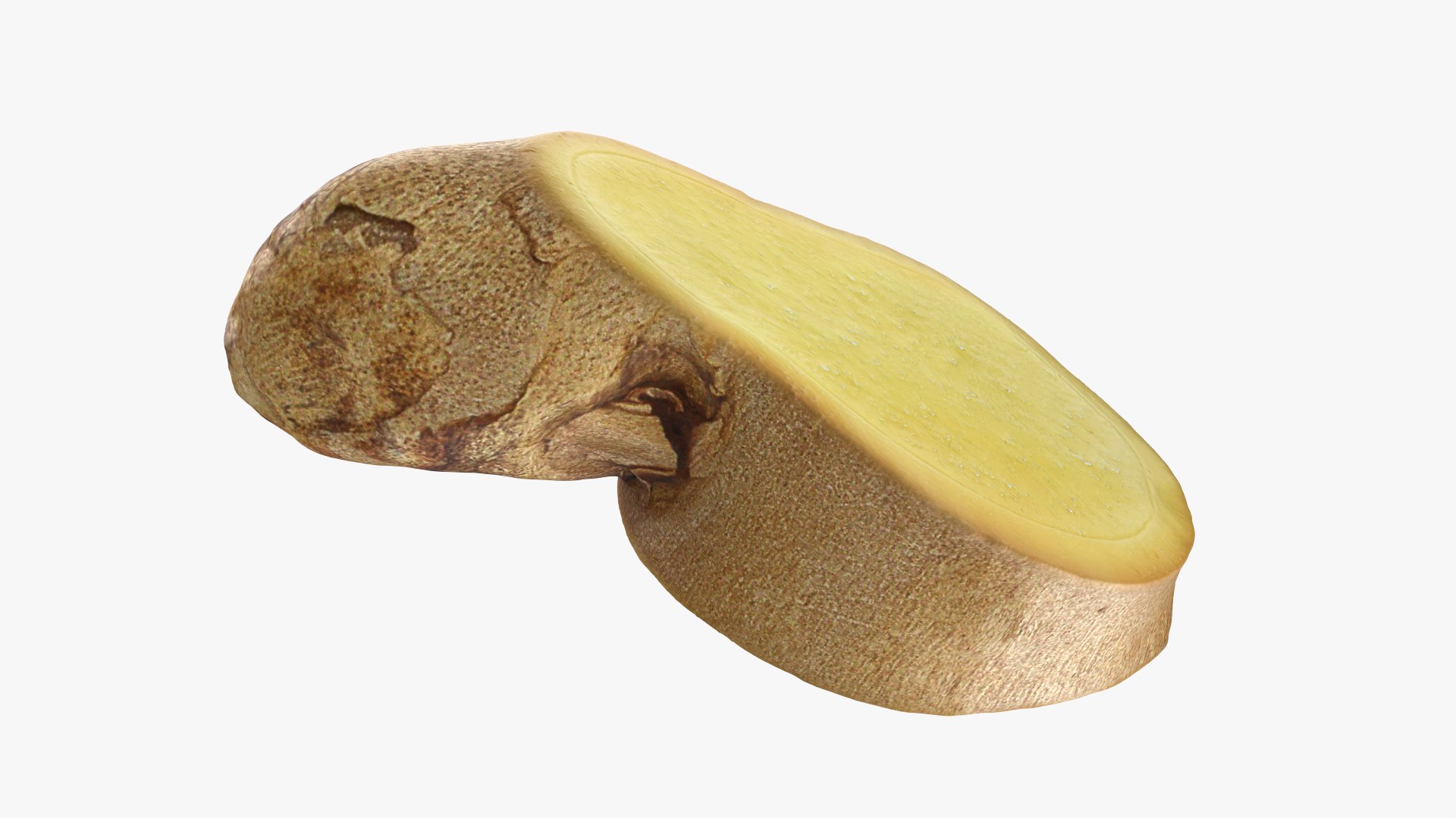 3D Ginger Slice 4 model https://p.turbosquid.com/ts-thumb/RY/q6pDLO/1C/gingerslice4_0009/png/1775118780/1920x1080/fit_q87/2776a44208e2bf63f214b40fddf2143409112f28/gingerslice4_0009.jpg