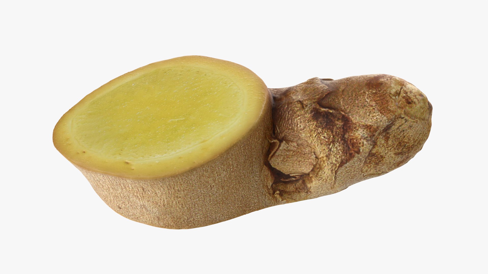 3D Ginger Slice 4 model https://p.turbosquid.com/ts-thumb/RY/q6pDLO/5E/gingerslice4_0010/png/1775118787/1920x1080/fit_q87/440759a9b4958f02bd870414cba4c64a835103b7/gingerslice4_0010.jpg
