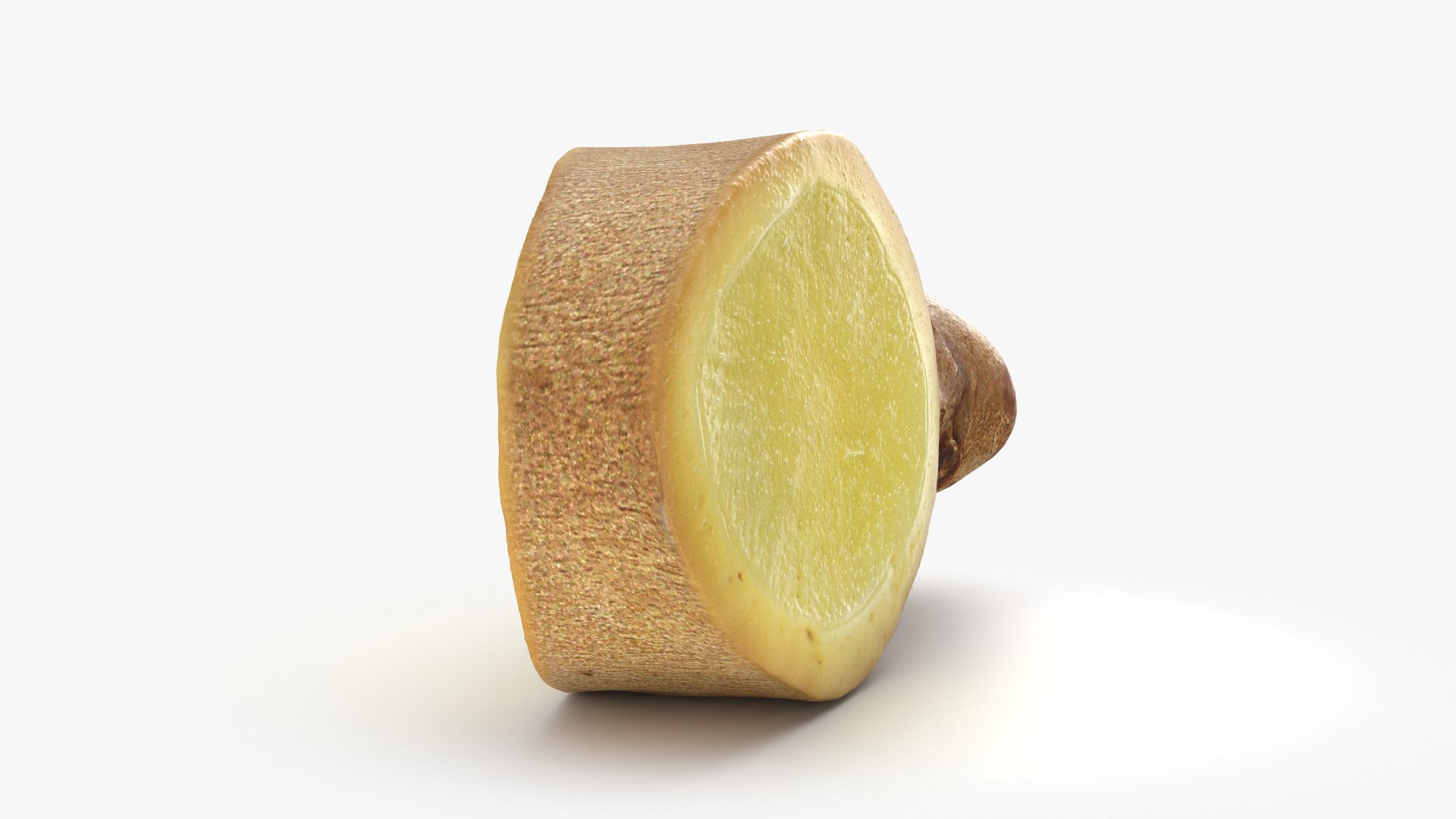 3D Ginger Slice 4 model https://p.turbosquid.com/ts-thumb/RY/q6pDLO/Li/gingerslice4_0006/png/1775118773/1920x1080/fit_q87/55f7669d9b4e64657e55af790507db9fb7b238ca/gingerslice4_0006.jpg
