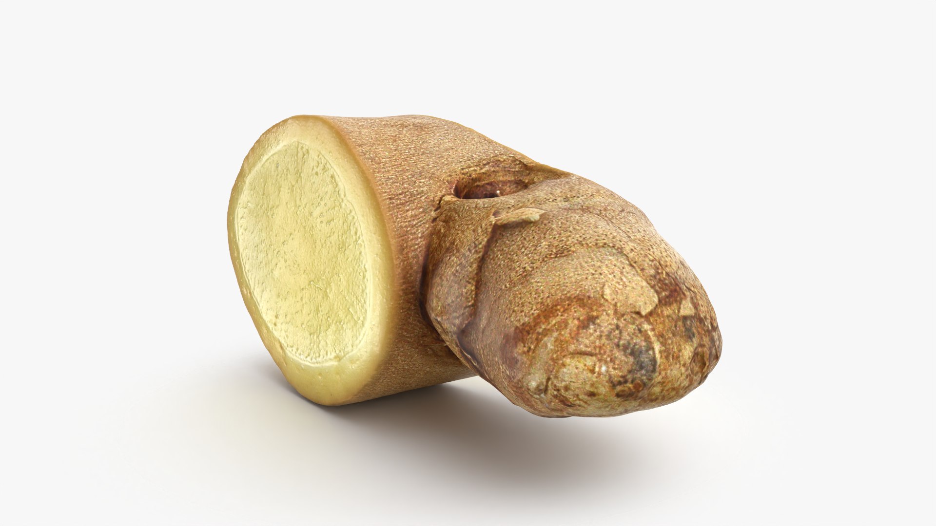 3D Ginger Slice 4 model https://p.turbosquid.com/ts-thumb/RY/q6pDLO/xX/gingerslice4_0007/png/1775118785/1920x1080/fit_q87/1b37a357c4aae782b29f4a220ba05687897672be/gingerslice4_0007.jpg