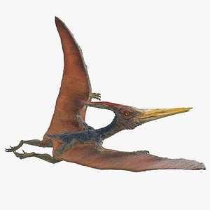 Pteranodon Flying Pose