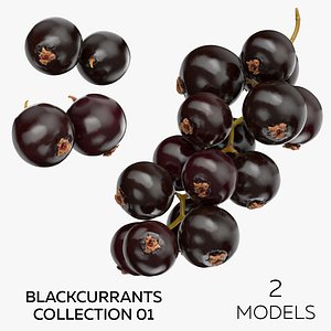 Blackcurrants Collection 01 - 2 models 3D model
