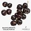 Blackcurrants Collection 01 - 2 models