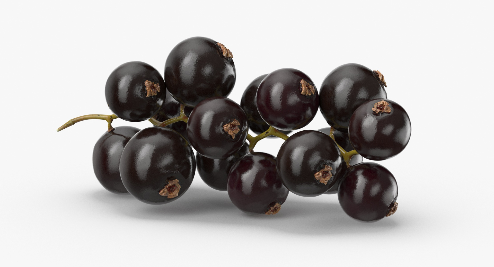 Blackcurrants Collection 01 - 2 models 3D model https://p.turbosquid.com/ts-thumb/RY/uFlmrW/DC/0000/jpg/1600261938/1920x1080/turn_fit_q99/024bff74760d5f9d2064515cfd3f6c1a14758c23/0000-1.jpg