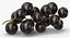 Blackcurrants Collection 01 - 2 models