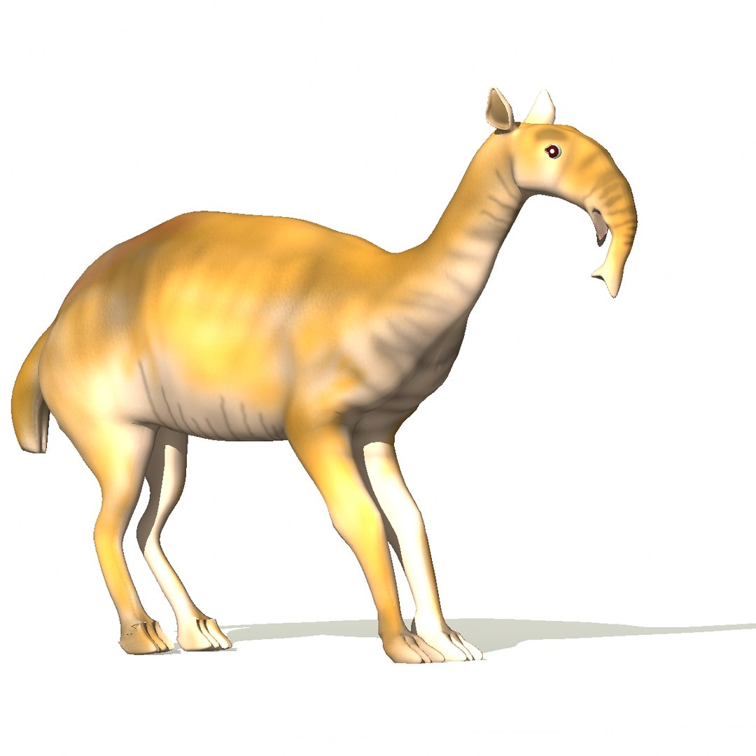 3d macrauchenia model https://p.turbosquid.com/ts-thumb/RZ/2E39lU/GnmJomnG/m03/jpg/1443027066/1920x1080/fit_q87/7172c395168acf2dfac96da481242e525dea02dc/m03.jpg