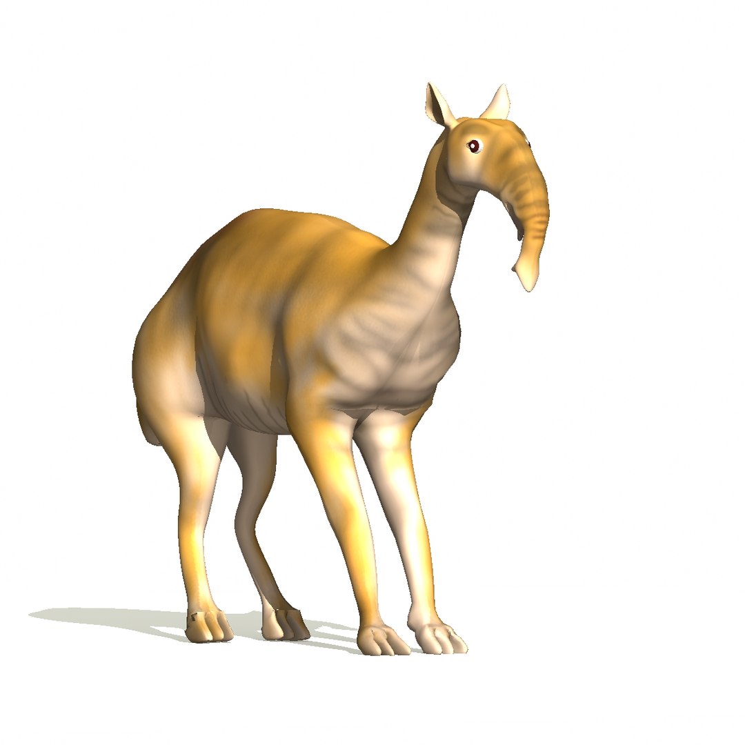 3d macrauchenia model https://p.turbosquid.com/ts-thumb/RZ/2E39lU/mn6IvNmV/m04/jpg/1443027099/1920x1080/fit_q87/b8d3f611dd205e7e26b22b144e1f9c5e9bf21ff0/m04.jpg