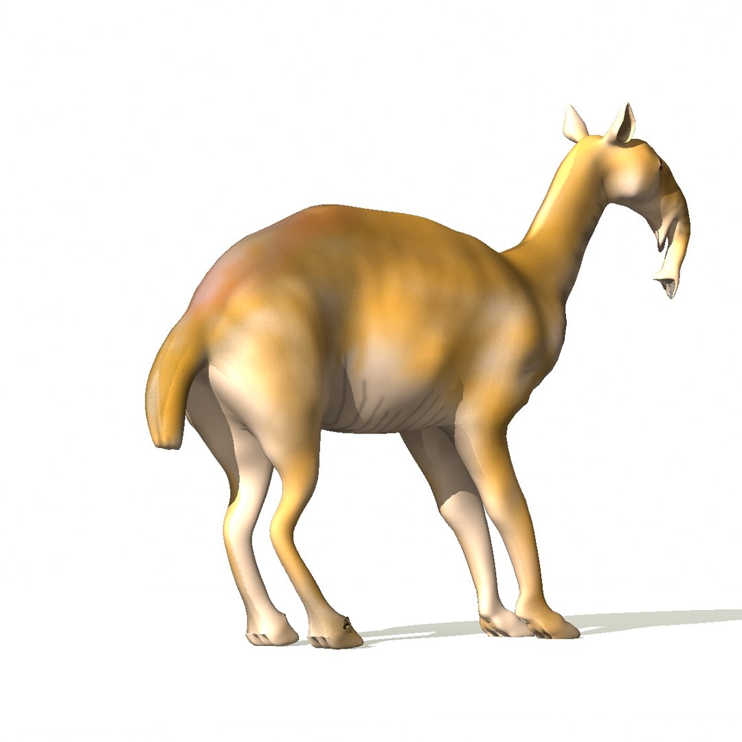 3d macrauchenia model https://p.turbosquid.com/ts-thumb/RZ/2E39lU/sx2y57pu/m12/jpg/1443027174/1920x1080/fit_q87/4b77f9dde1967a201aca4885f492bab3aa0da0d5/m12.jpg