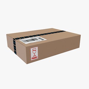 Cardboard Box-4 3D