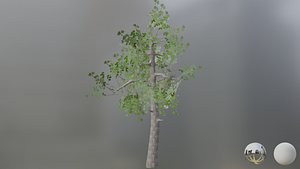 3D axe and tree game assets