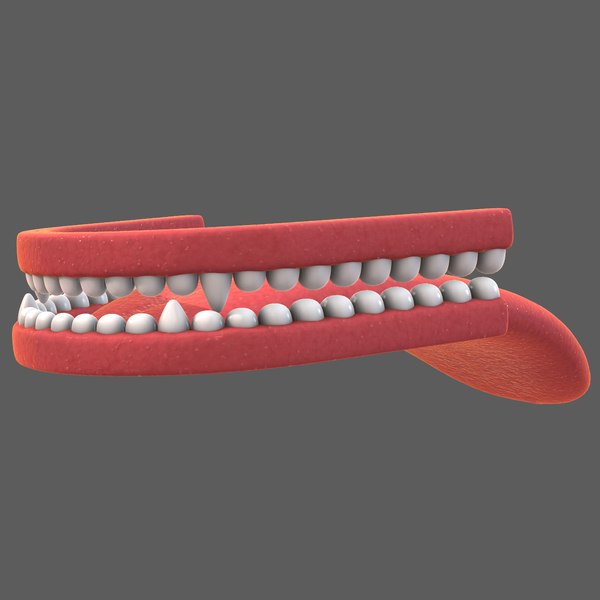 Teeth Cartoon V02 3D model