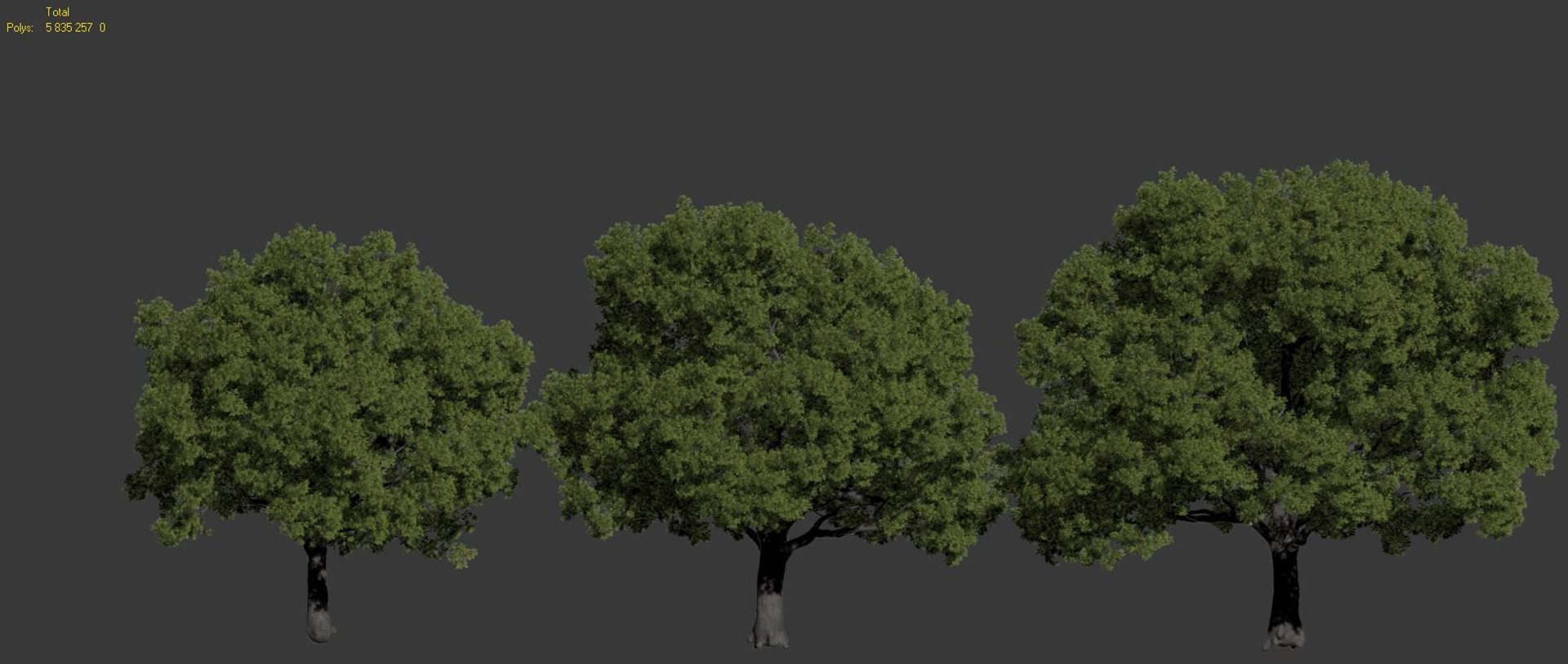 3D oak trees https://p.turbosquid.com/ts-thumb/RZ/eXnwkI/KR4uKJe4/quercusrobur8/jpg/1606334483/1920x1080/fit_q87/d629b75666524fc90c4b0c9131bc3afe21ddaefa/quercusrobur8.jpg