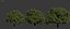 Common oak Nr3 H16-19m Three tree set