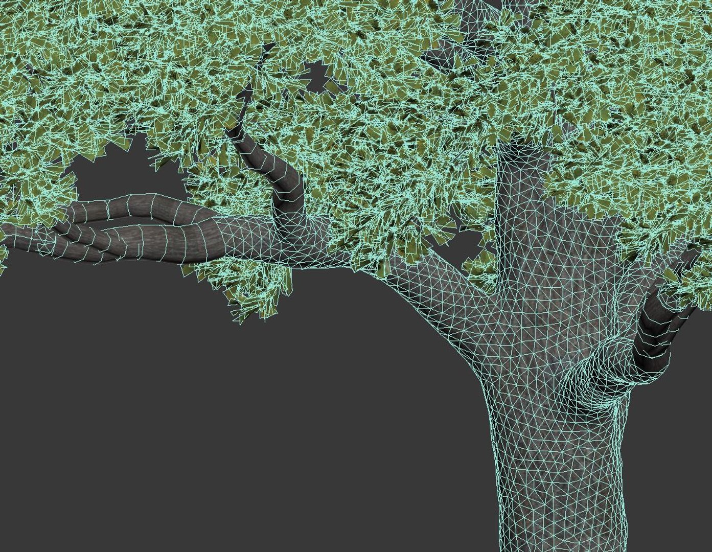 3D oak trees https://p.turbosquid.com/ts-thumb/RZ/eXnwkI/mMNHXoS4/quercusrobur9/jpg/1606334483/1920x1080/fit_q87/41dd04061c37d0bf3c3a64ff3b3781256b8b4561/quercusrobur9.jpg