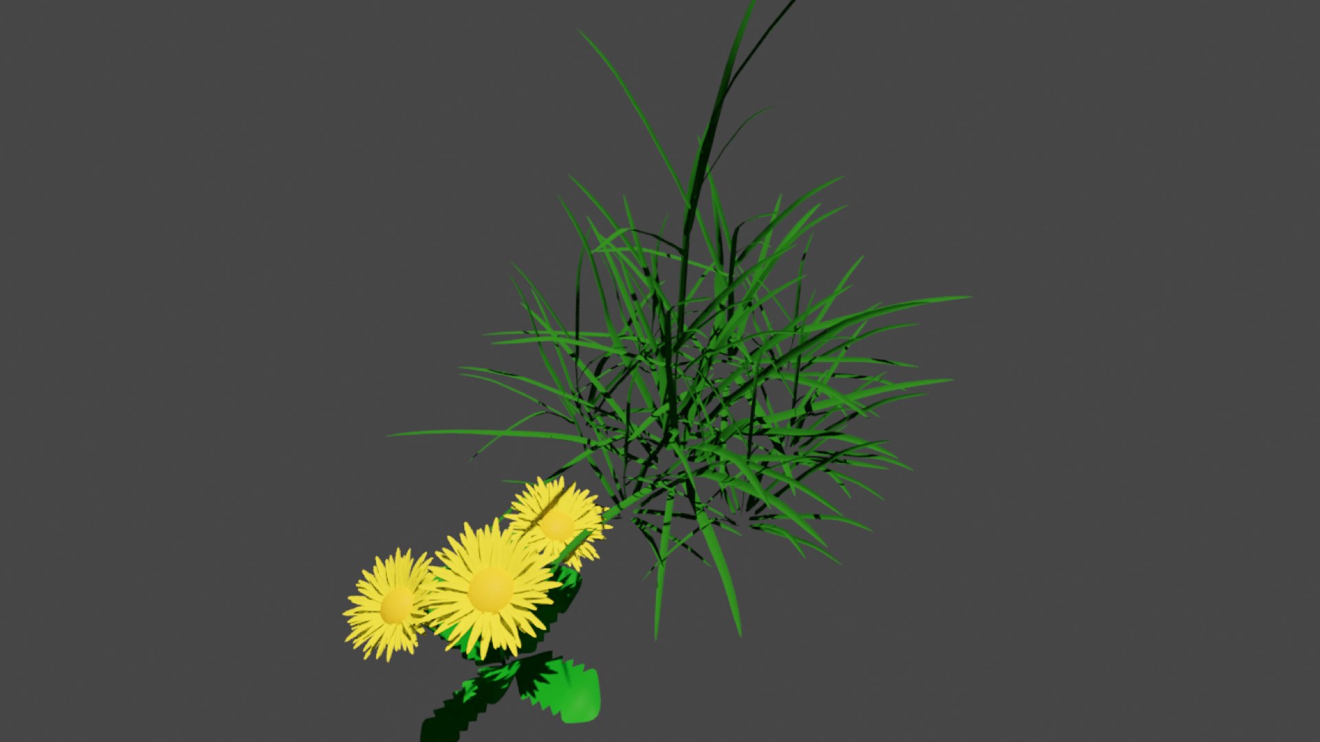 Plants 3D model https://p.turbosquid.com/ts-thumb/RZ/fVMiHN/K9/plantscopy/png/1716497146/1920x1080/fit_q87/aa22d3e37150a798c6d3c015eebda862561f70b2/plantscopy.jpg