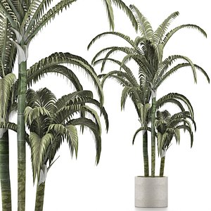 3D palms plant pot