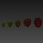 Collection plant vol 569 - Viburnum - Tinus - shurb  - 3Ds max - Cinema 4D