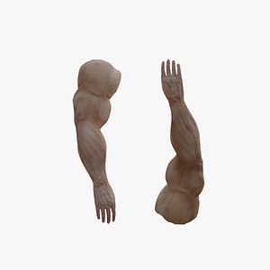 ARMS 3D MODEL - AR - VR - GAME READY 3D model