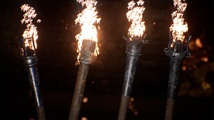 Medieval Torches 48 Variations