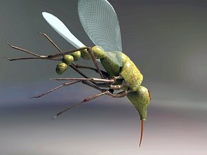 3d model of mosquito
