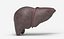 Liver Damage Stages