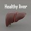 Liver Damage Stages