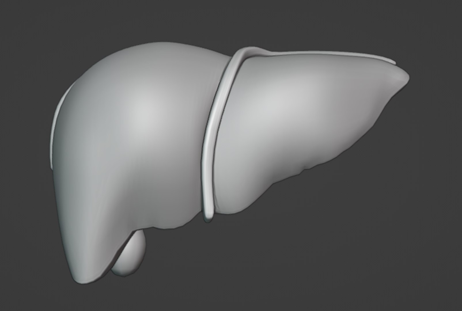 3D Liver Damage Stages https://p.turbosquid.com/ts-thumb/Ra/YEZMol/c3/10/png/1761306297/1920x1080/fit_q87/79fc03312beac9dcc4e5b11b5703ea8c0a5eda0d/10.jpg