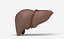 Liver Damage Stages