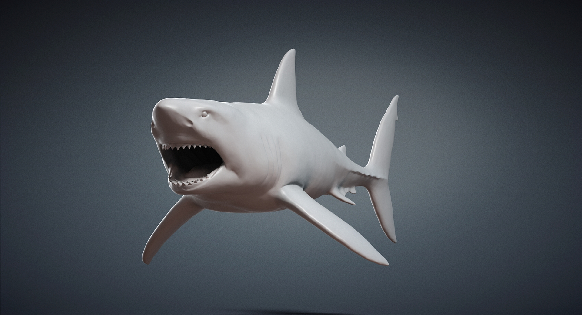 3D great white shark base mesh model https://p.turbosquid.com/ts-thumb/Ra/dzTpEp/02RAivAV/01/jpg/1513850688/1920x1080/turn_fit_q99/b64e8c3e8d859ff6eb20513fad260c3d897eacce/01-1.jpg