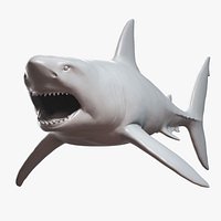 Great White Shark Base Mesh