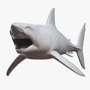 Great White Shark Base Mesh