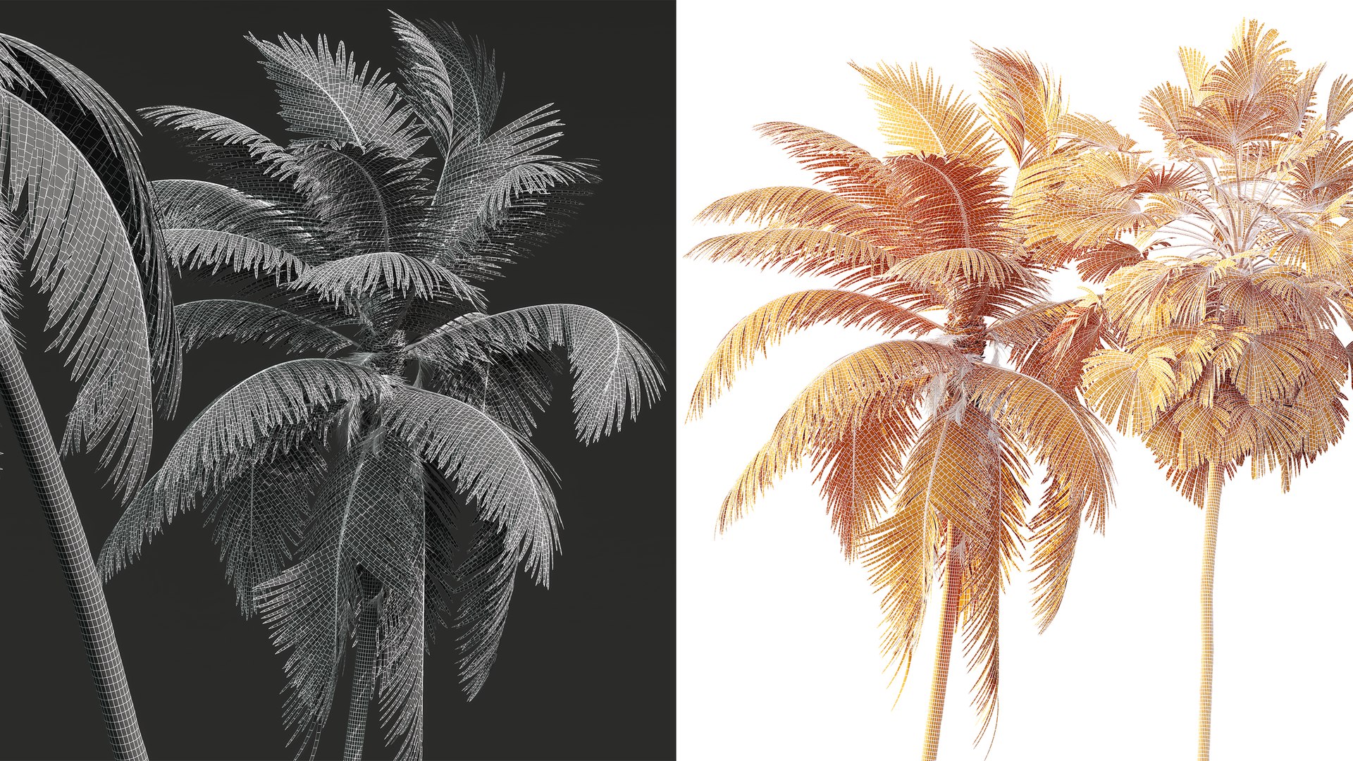 AV Borassus Flabellifer and Cocos Nucifera Windy palms 3D https://p.turbosquid.com/ts-thumb/Ra/tkg5lc/dq/7/png/1781608660/1920x1080/fit_q87/bb7d99ea8140a48d520aba66c77e50ddf5e460be/7.jpg