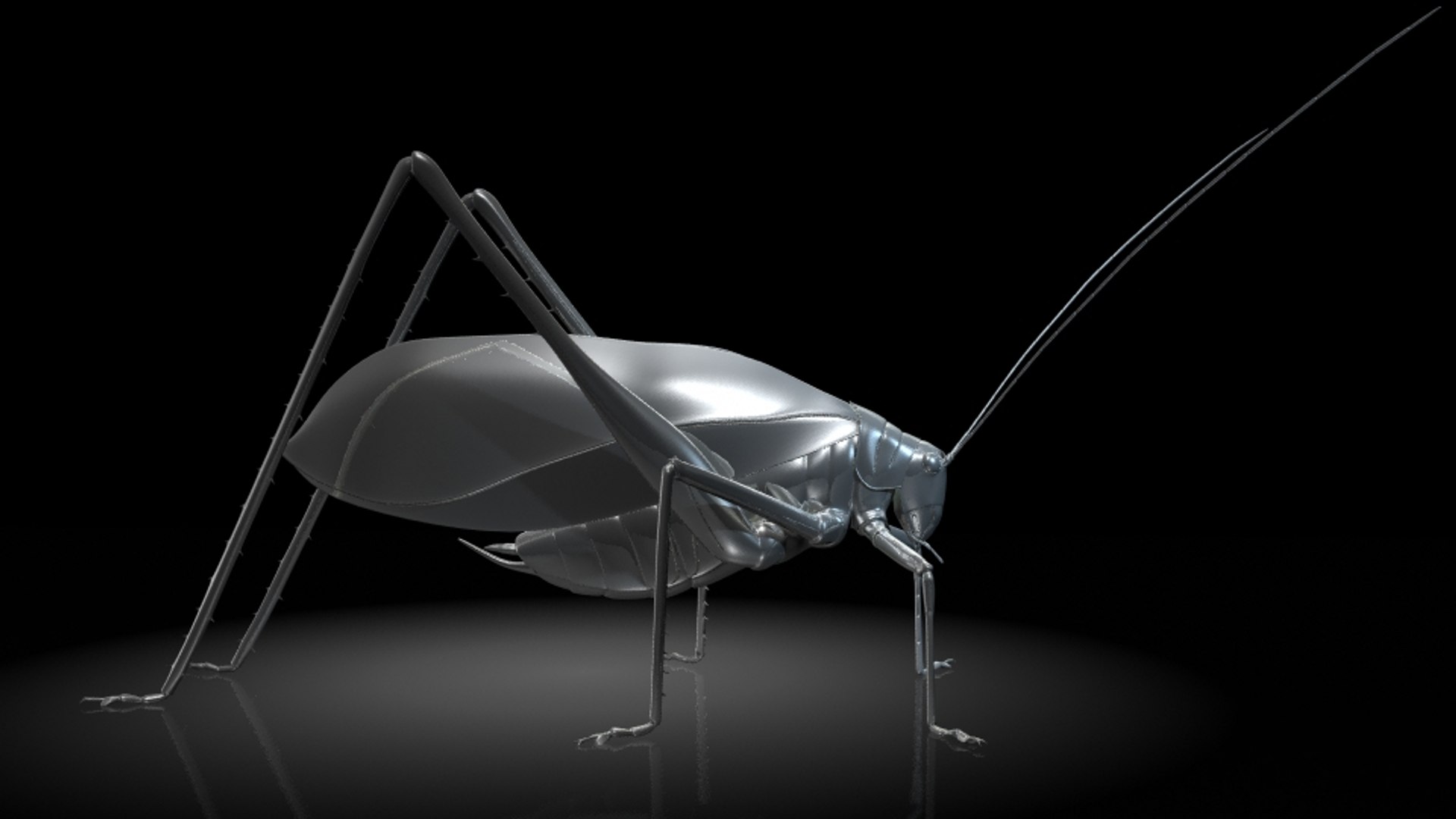 3D Katydids Insects Model - TurboSquid 1324057