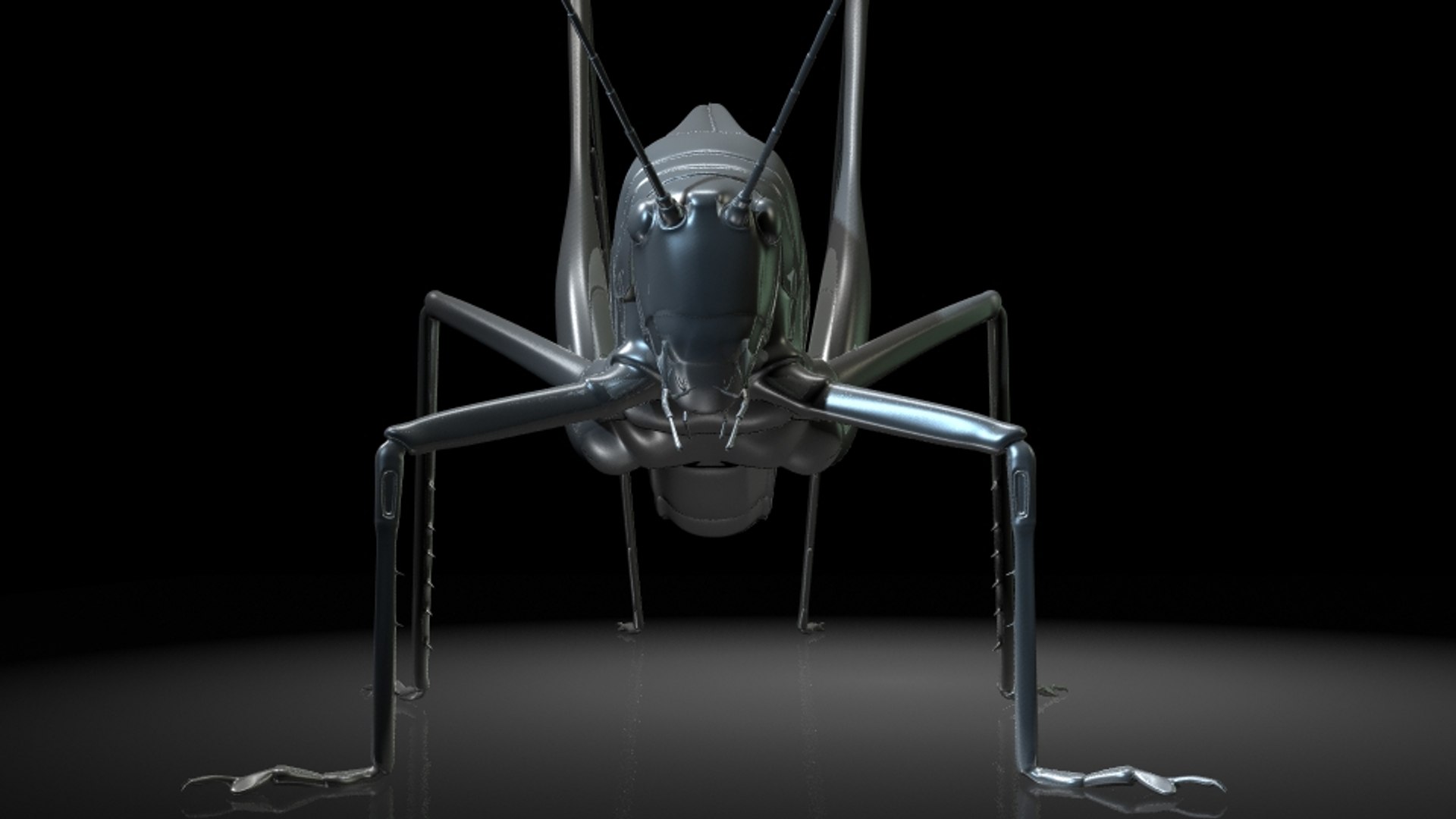 3D Katydids Insects Model - TurboSquid 1324057