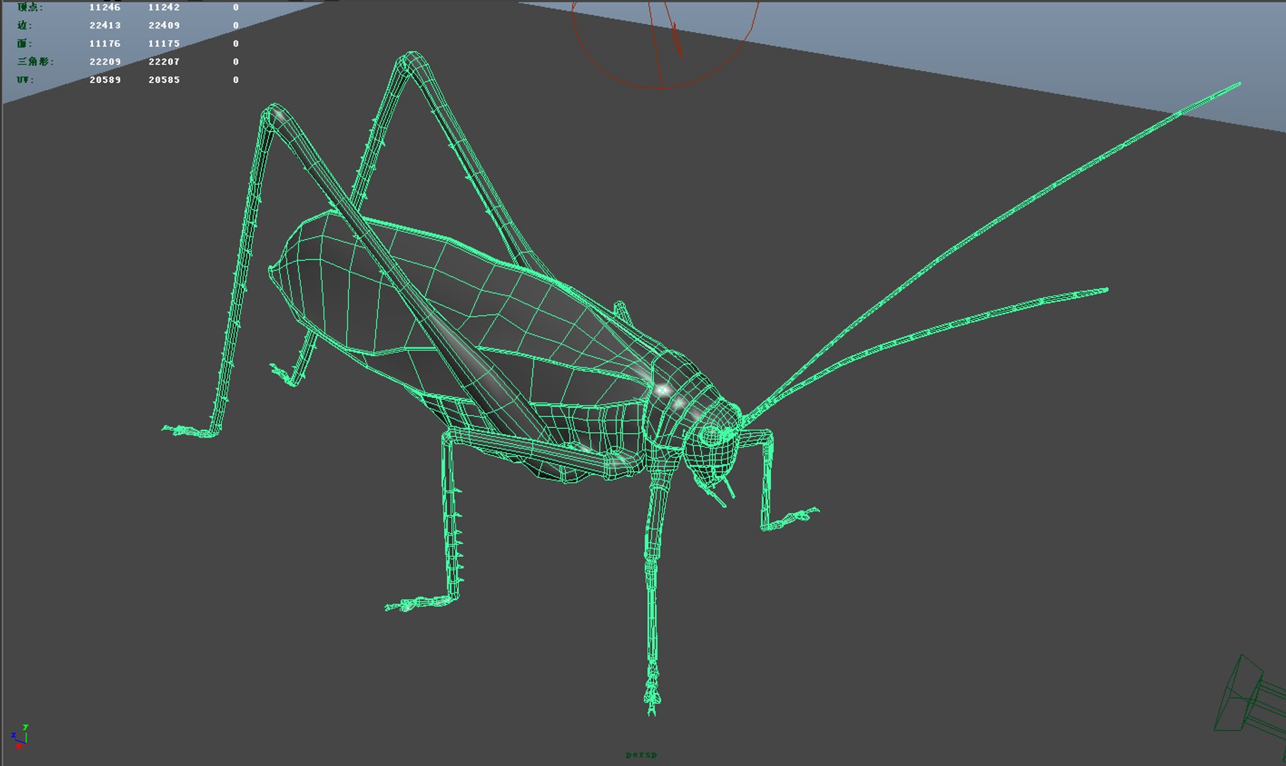 3D Katydids Insects Model - TurboSquid 1324057