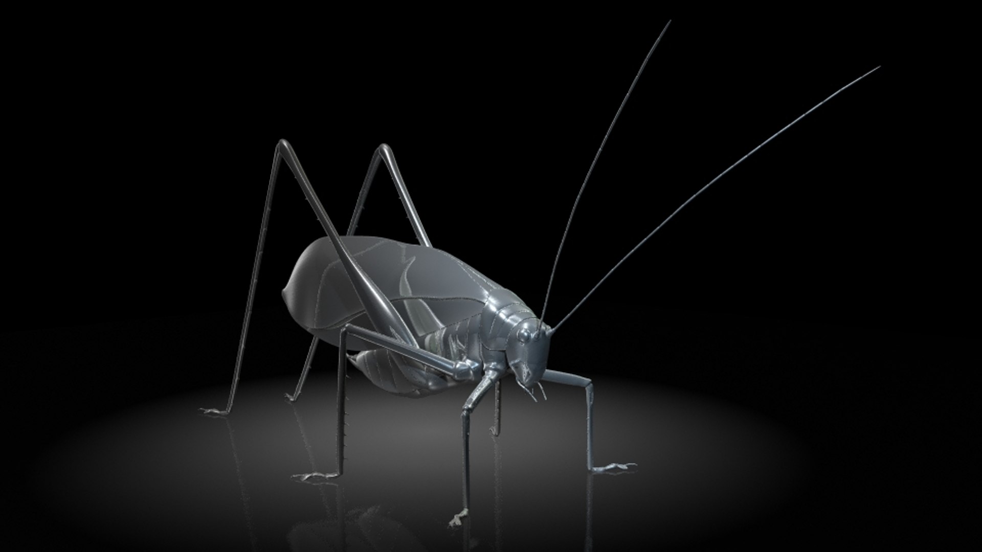3D Katydids Insects Model - TurboSquid 1324057