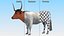 Texas Longhorn White Color Rigged model