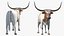 Texas Longhorn White Color Rigged model